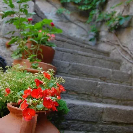 Alarga Pensionat Assos